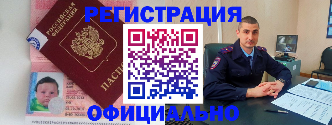 прописка поиск в Тайшете